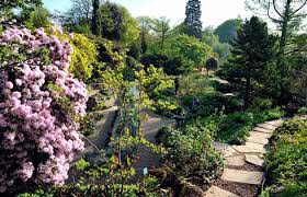 Jardin des plantes de Paris : jardin alpin